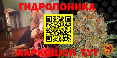 2c-b Гулькевичи