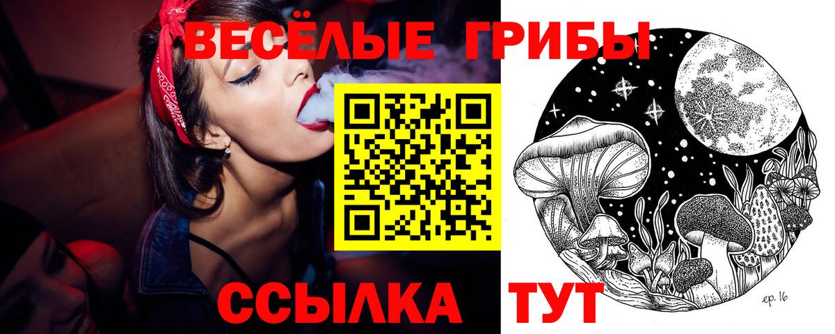 Воскресенск  Галлюциногенные грибы ЛСД  Вход с VPN 